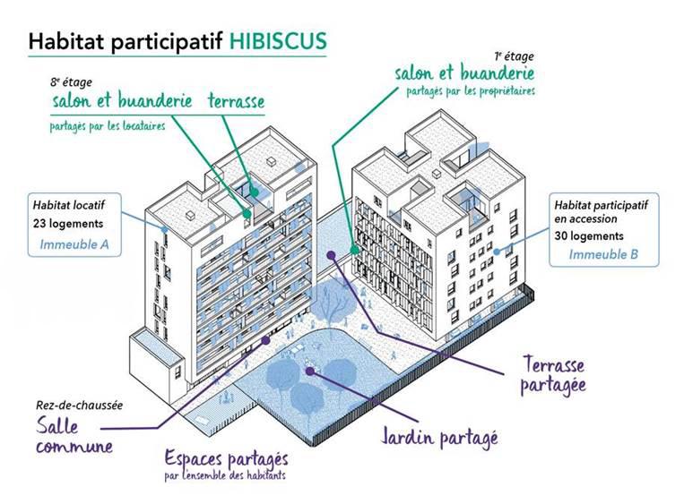 Plan_Hibiscus_Empalot